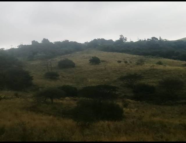 FARM FOR SALE IN STANGER RURAL